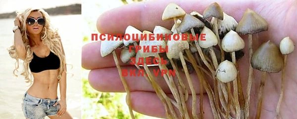 мефедрон Зеленодольск